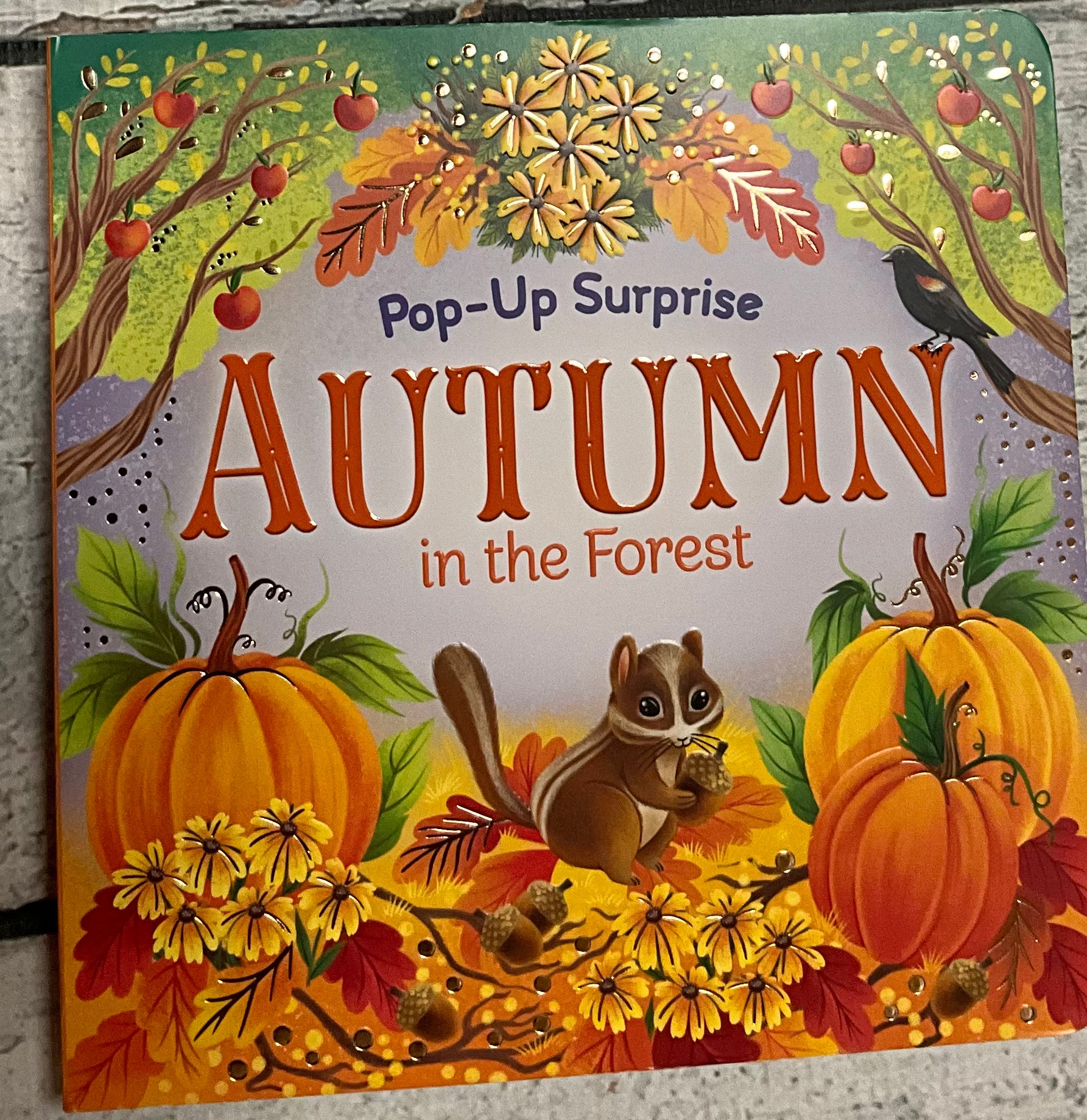 Pop up surprise - Autumn in the forest book