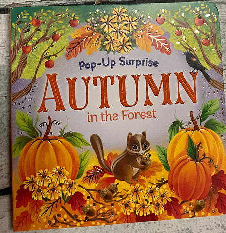 Pop up surprise - Autumn in the forest book
