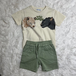 Matcha Short Match Up