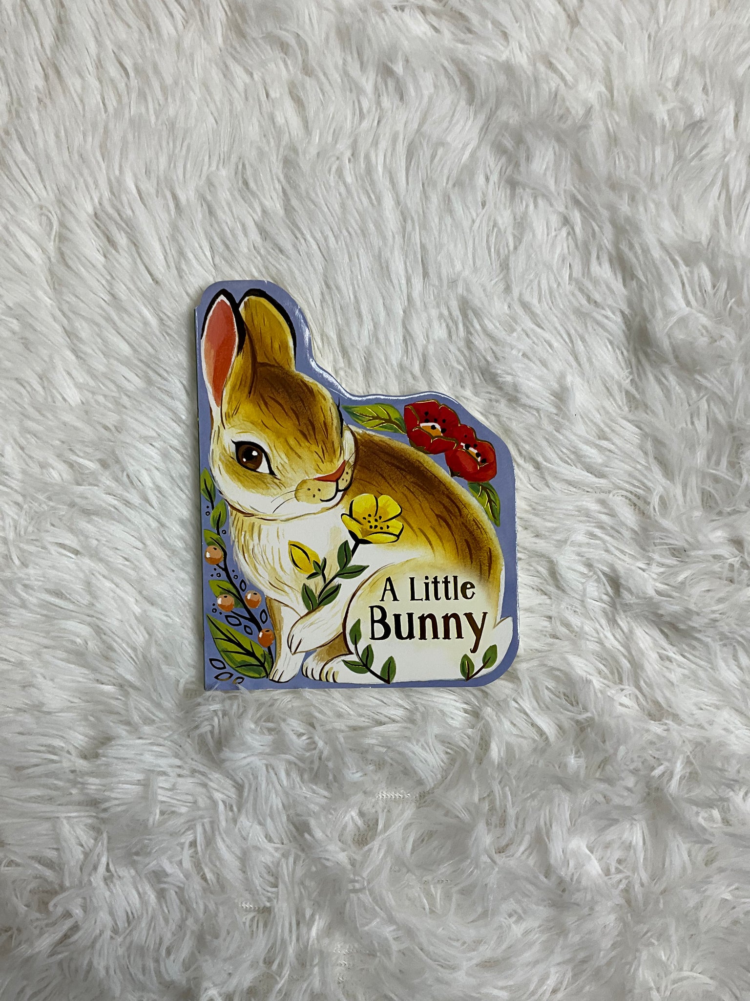 A Little Bunny. A Bunny Shaped Book