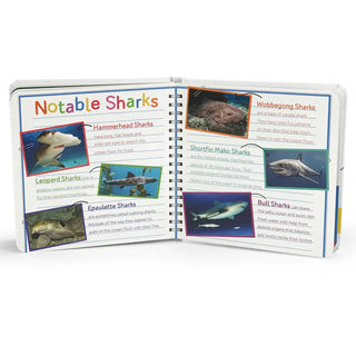 Sharks Teeth to Tail Discovery Book