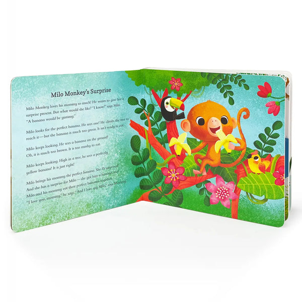 A Collection of 1 Year Olds Board Book