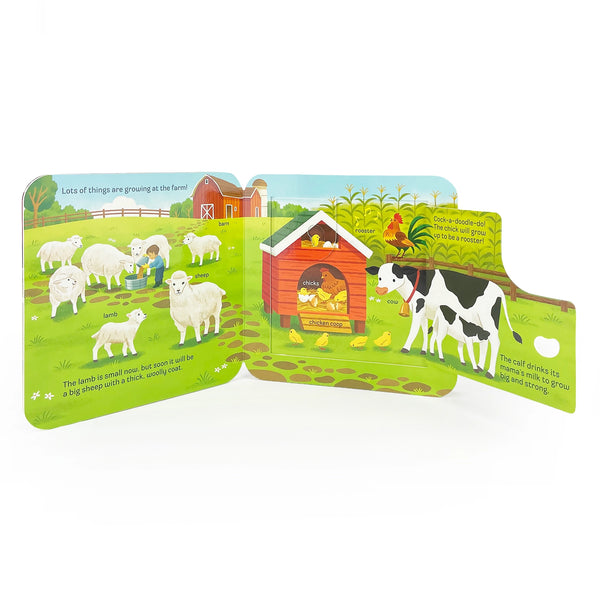 Grow Peek a Flap Book