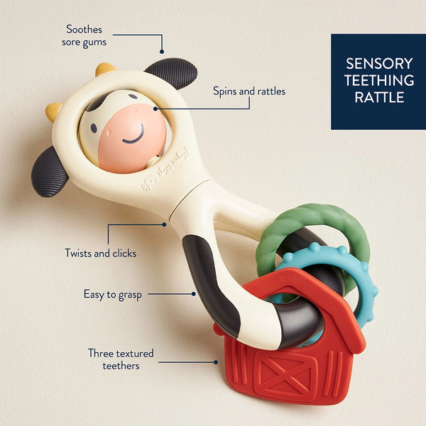 Itzy  Spinner Cow
